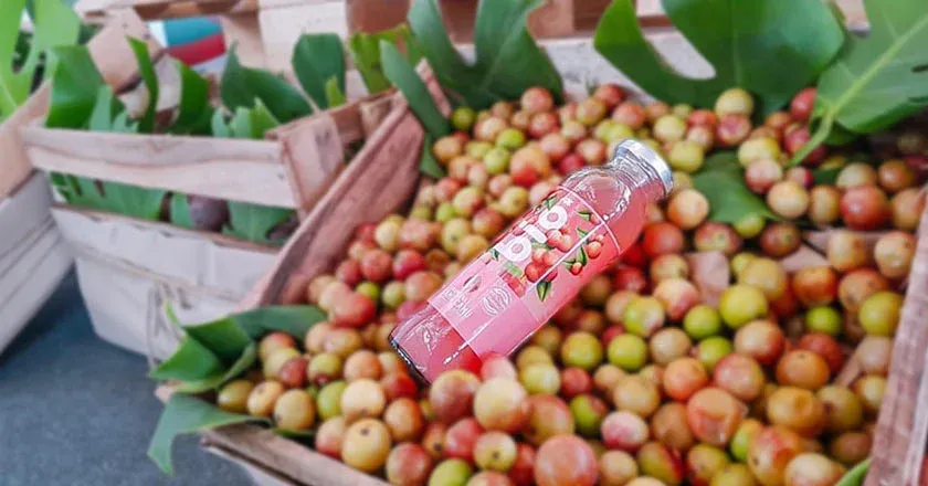 Camu camu recién cosechado, listo para su pulpa